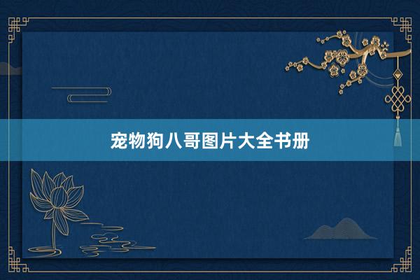 宠物狗八哥图片大全书册