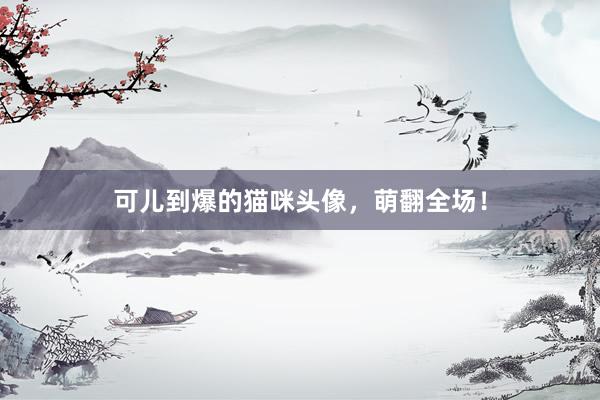 可儿到爆的猫咪头像，萌翻全场！