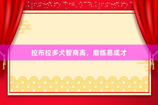 拉布拉多犬智商高，磨练易成才