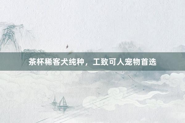 茶杯稀客犬纯种，工致可人宠物首选