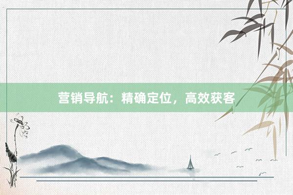 营销导航：精确定位，高效获客